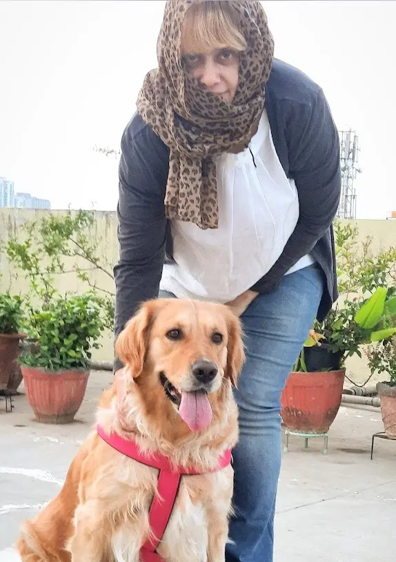 A golden retriever in a pink harness sitting on a rooftop terrace, a woman in a leopard print scarf bending over him.