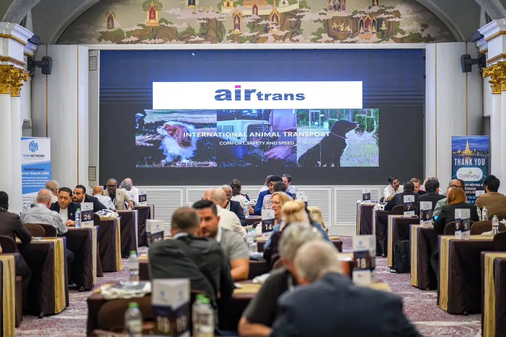 The one to one meeting room at GEM Bangkok, November 2025, with pet movers at numbered tables.