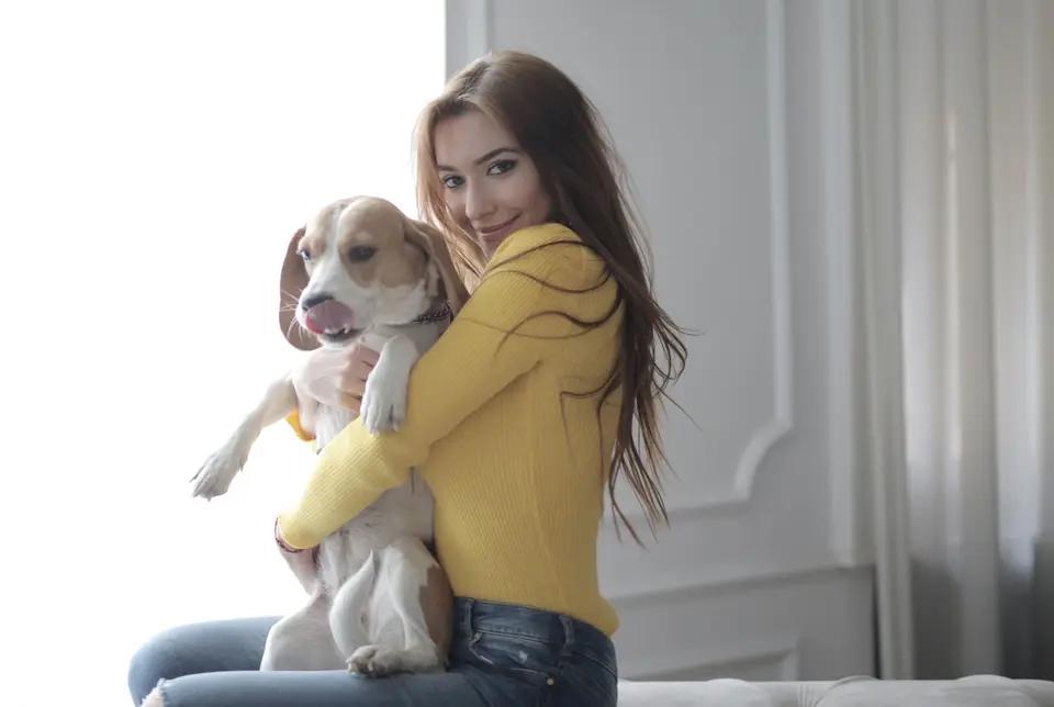 A woman in a yellow jumper hugging a beagle on the floor at home.