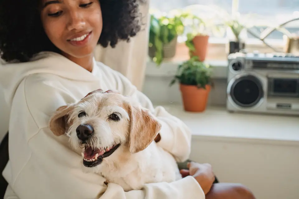 A woman by a sunny window holding a small smiling dog in her arms.