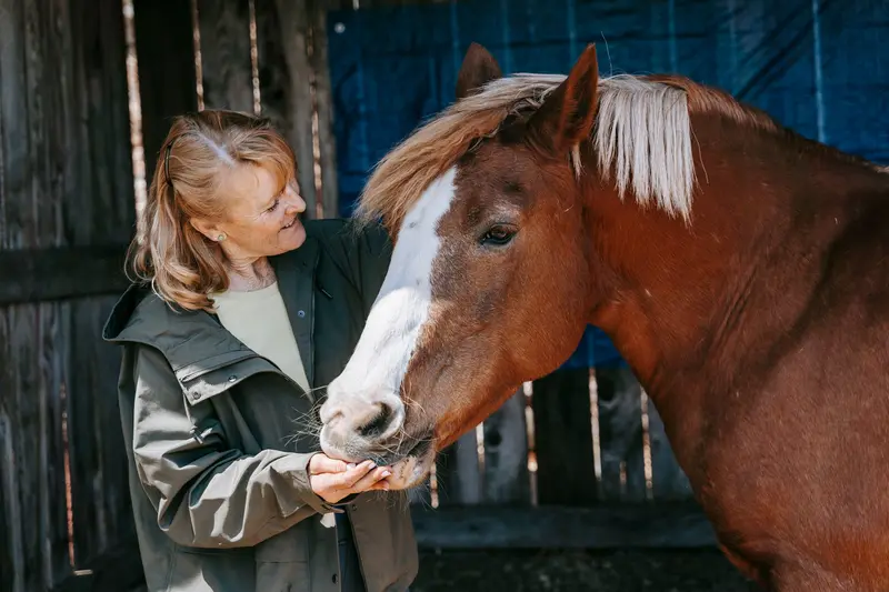 A woman in a green jacket feeding a chestnut horse with a white blaze from her hand, both relaxed.